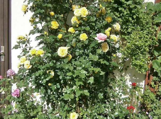 Appartamento Ferienwohnung Central Bad Steben
